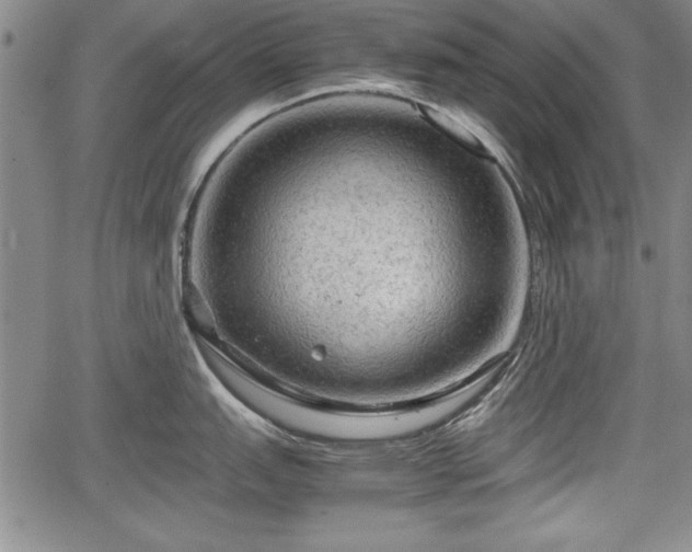 X0000067501151200604101224