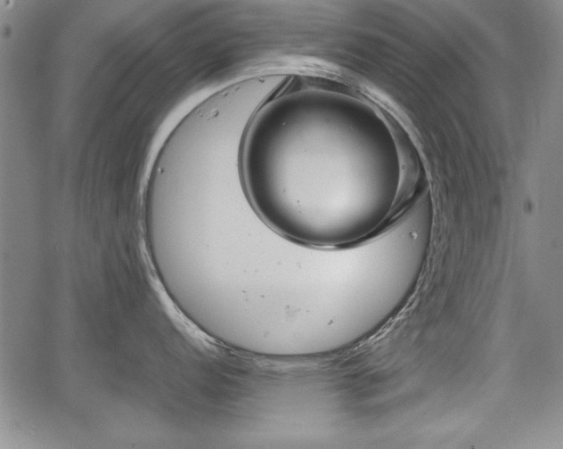 X0000067501152200604101224