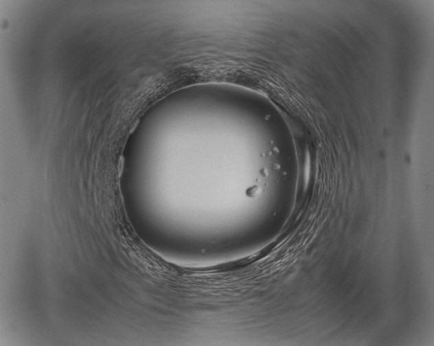 X0000067501153200604101223