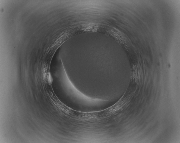 X0000067501154200604101223