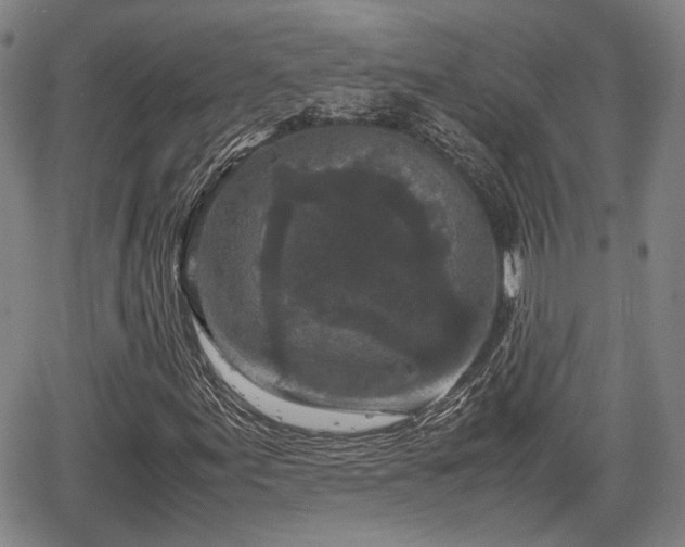 X0000067501155200604101223