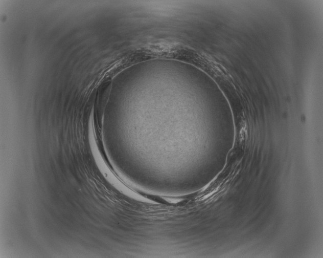 X0000067501156200604101223