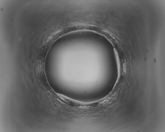 X0000067501157200604101223