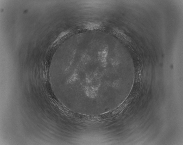 X0000067501158200604101223