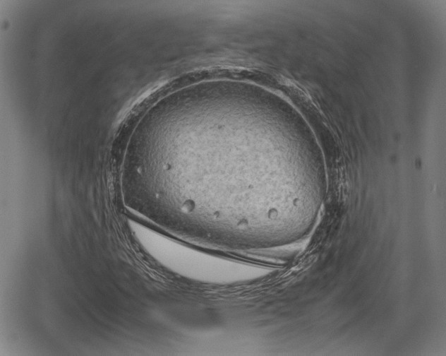 X0000067501159200604101223