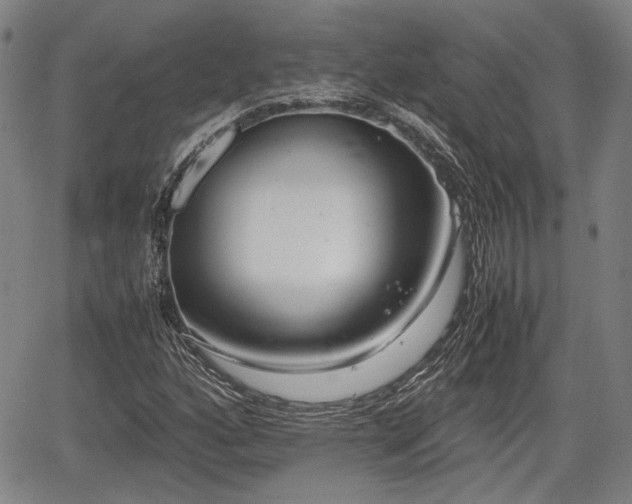 X0000067501160200604101223