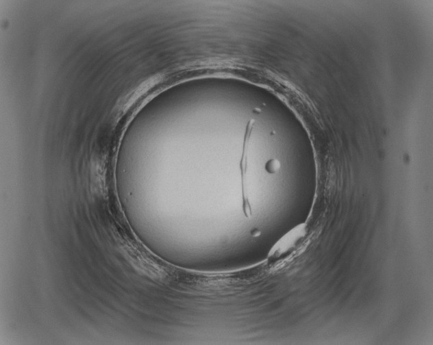 X0000067501162200604101223