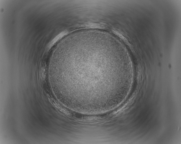 X0000067501163200604101223