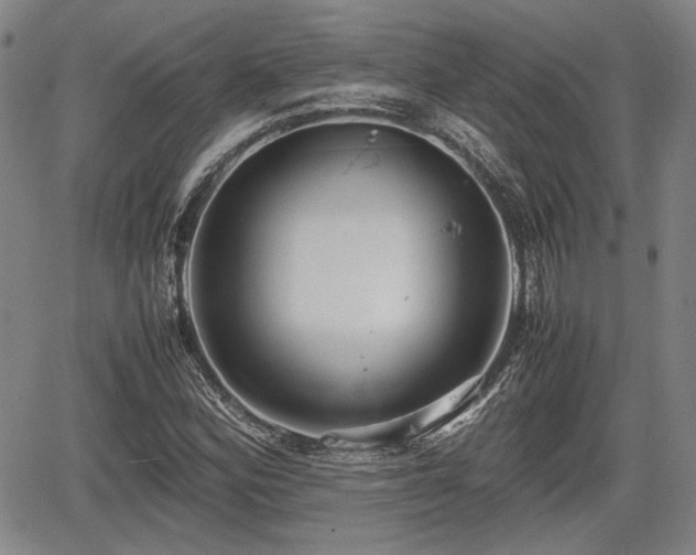 X0000067501164200604101223