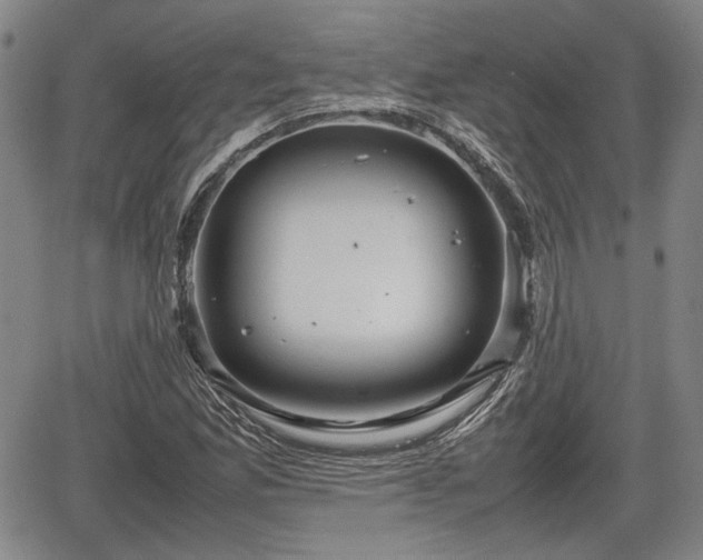 X0000067501165200604101223