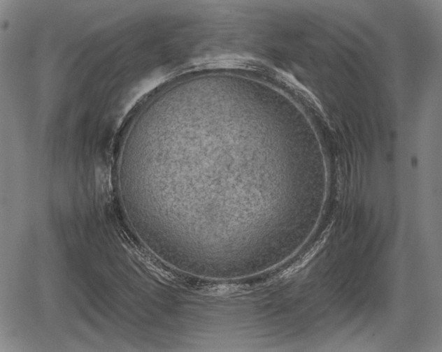 X0000067501166200604101223