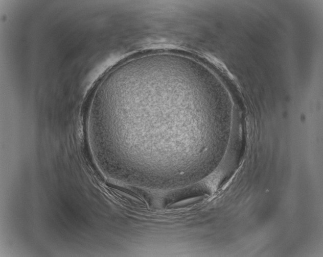 X0000067501167200604101223