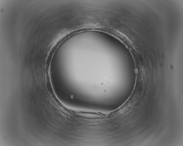 X0000067501168200604101223