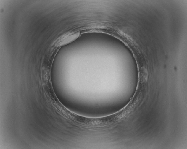 X0000067501169200604101223