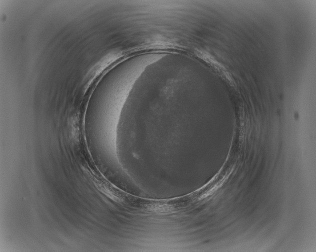 X0000067501170200604101223