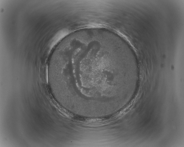 X0000067501171200604101223