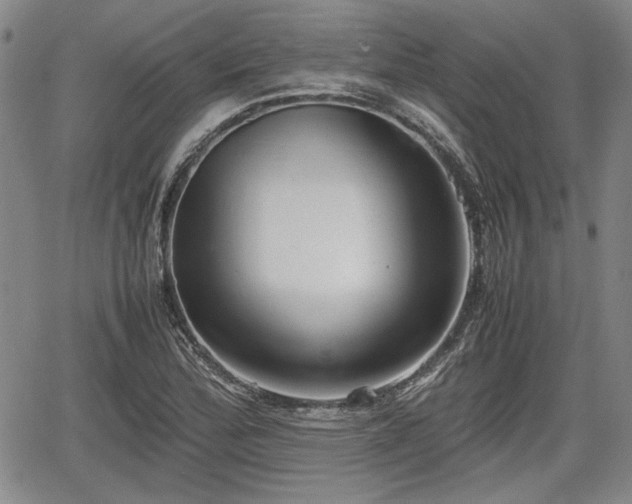 X0000067501172200604101223