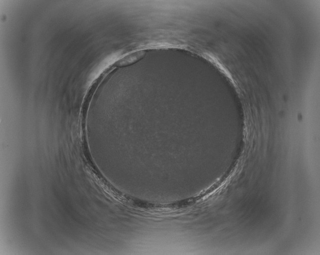 X0000067501173200604101223