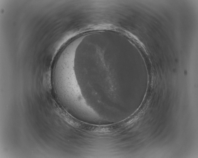 X0000067501174200604101223