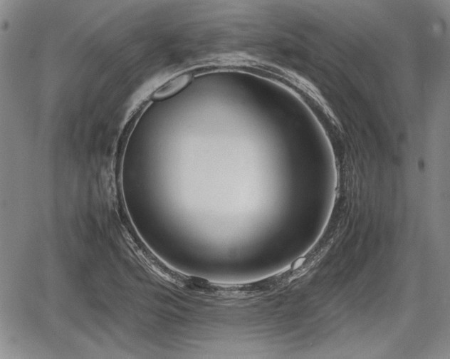 X0000067501176200604101223