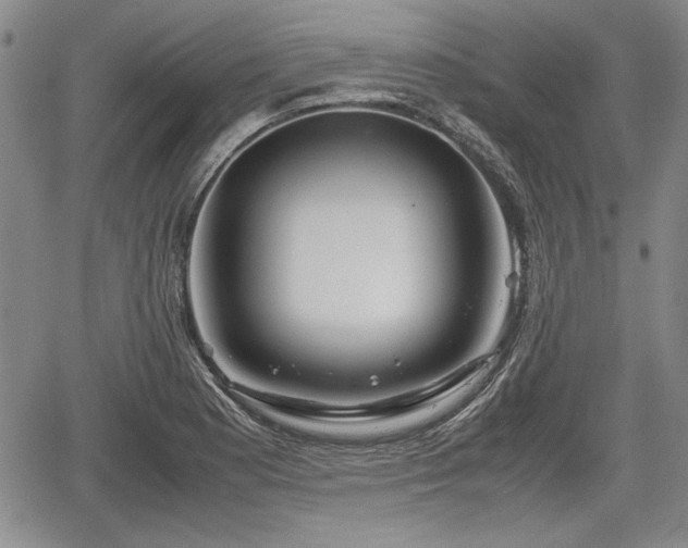 X0000067501177200604101223