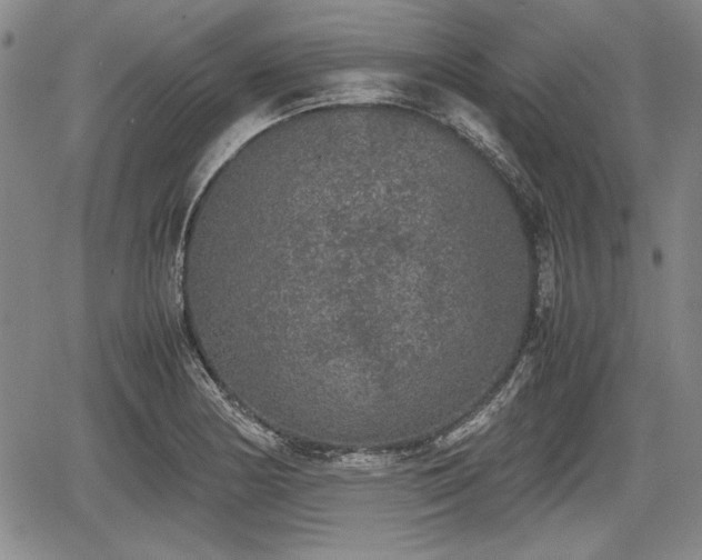 X0000067501178200604101223