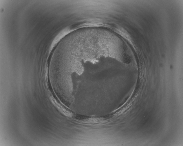 X0000067501179200604101223