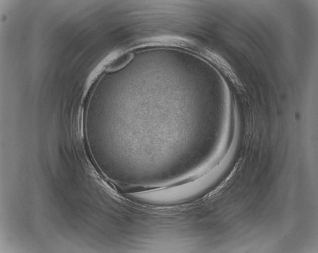 X0000067501180200604101223