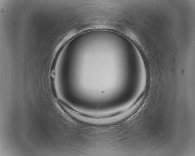 X0000067501181200604101223