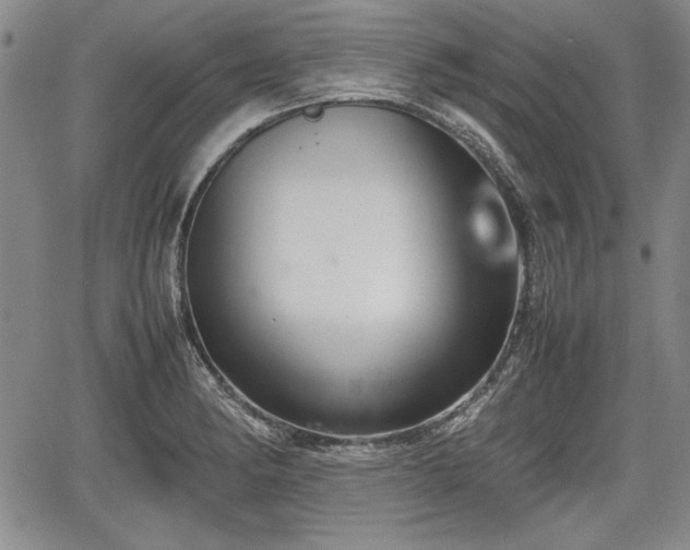 X0000067501182200604101223