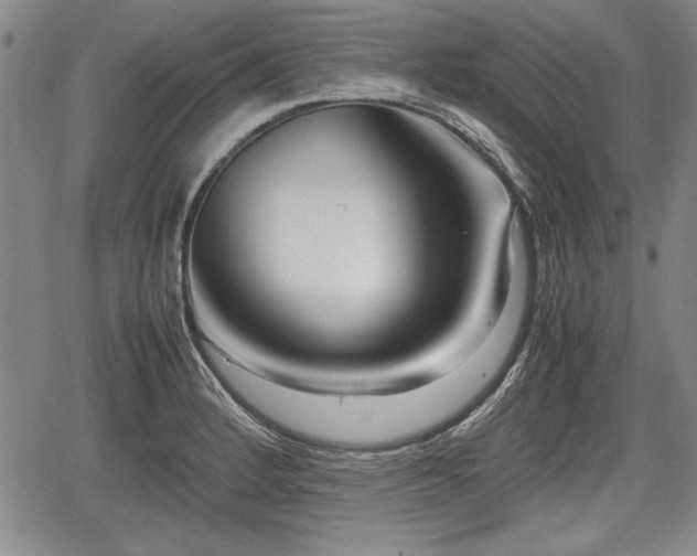 X0000067501184200604101223