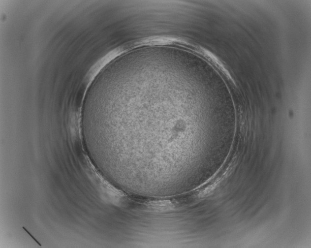 X0000067501186200604101223