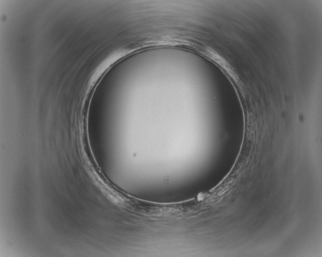 X0000067501187200604101223