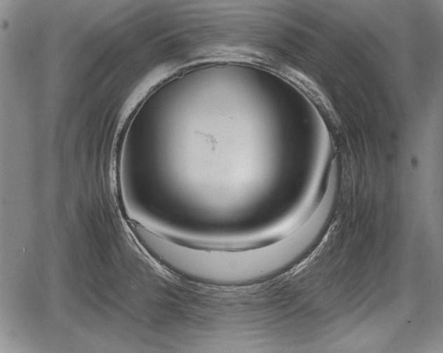 X0000067501188200604101223