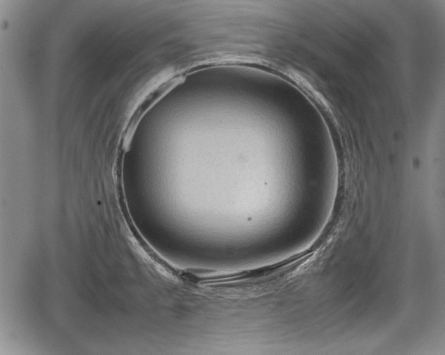 X0000067501189200604101223