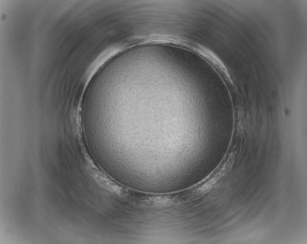 X0000067501190200604101223