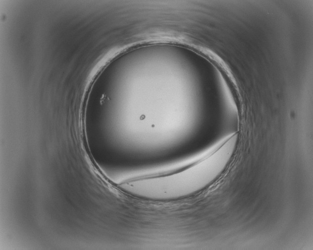 X0000067501191200604101223