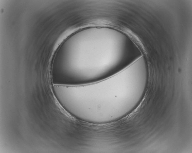 X0000067501192200604101223