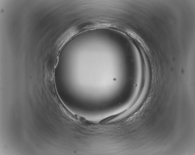 X0000067501193200604101223