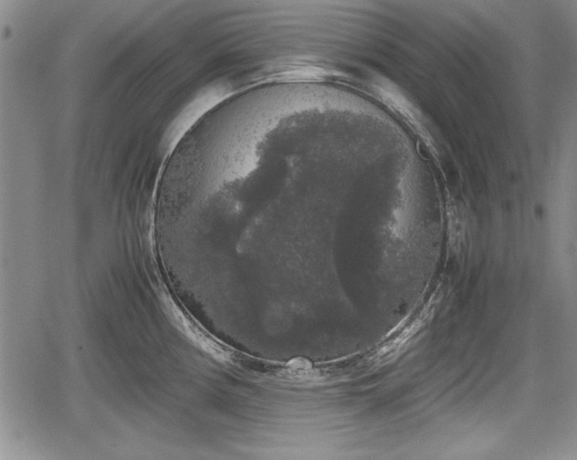 X0000067501194200604101223