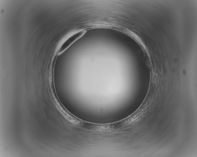 X0000067501195200604101223