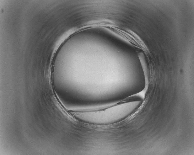 X0000067501196200604101223