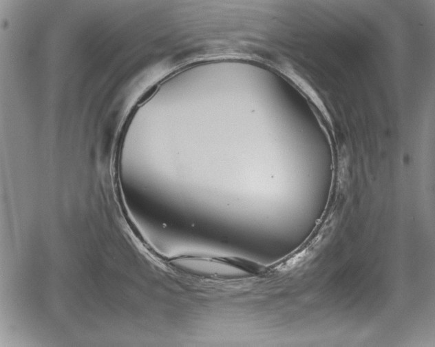 X0000067501197200604101223