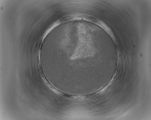 X0000067501198200604101223