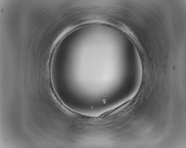 X0000067501199200604101223