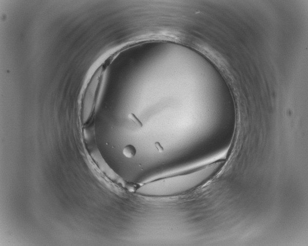 X0000067501200200604101222