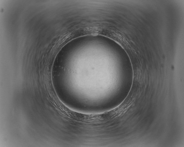 X0000067501201200604101222