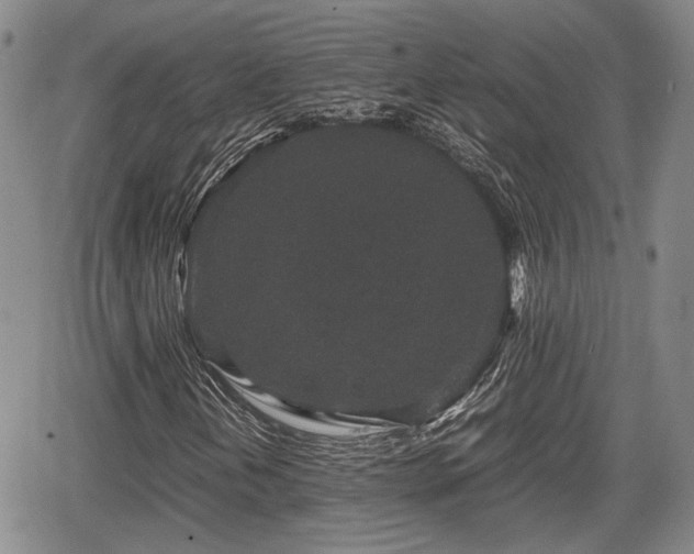 X0000067501202200604101222