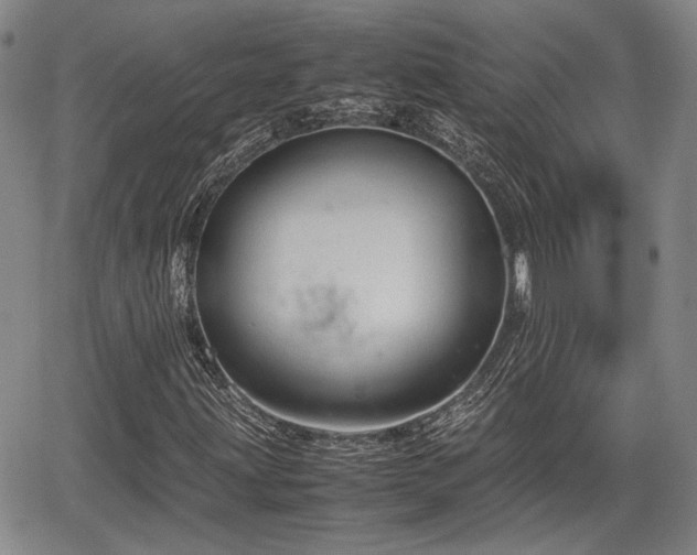 X0000067501203200604101222