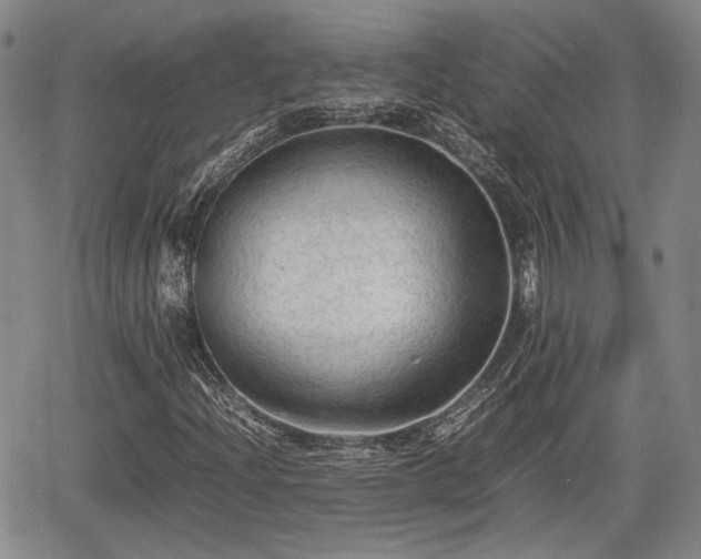 X0000067501204200604101222